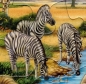 Preview: Rahmenpuzzle 2er Set - Tiere in Afrika 24 Teile - Tiere am Nordpol 40 Teile - SCHMIDT SPIELE®