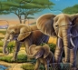 Preview: Rahmenpuzzle 2er Set - Tiere in Afrika 24 Teile - Tiere am Nordpol 40 Teile - SCHMIDT SPIELE®