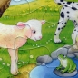 Preview: Rahmenpuzzle 2er Set - Tierkinder 16 Teile - Bauernhoftiere 24 Teile - SCHMIDT SPIELE®